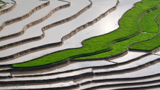 According to CDP, 53 companies – or 7% of the disclosing respondents – have created internal value costs associated to water that are otherwise absent from pricing and decision making